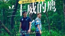 解救金刚鹦鹉