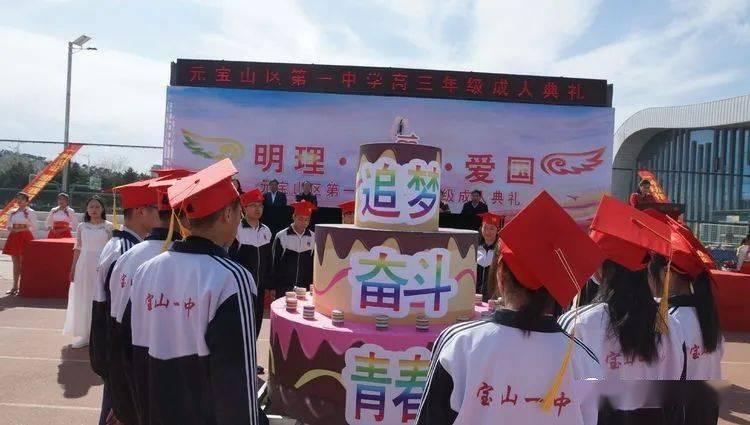 鹦鹉不晒太阳多久会死亡？游戏画面