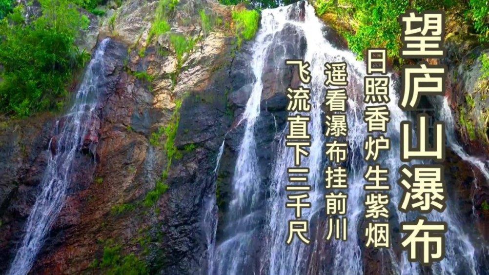 “小仙女宝宝”学走T台火了，自信满满的样子超有气场！